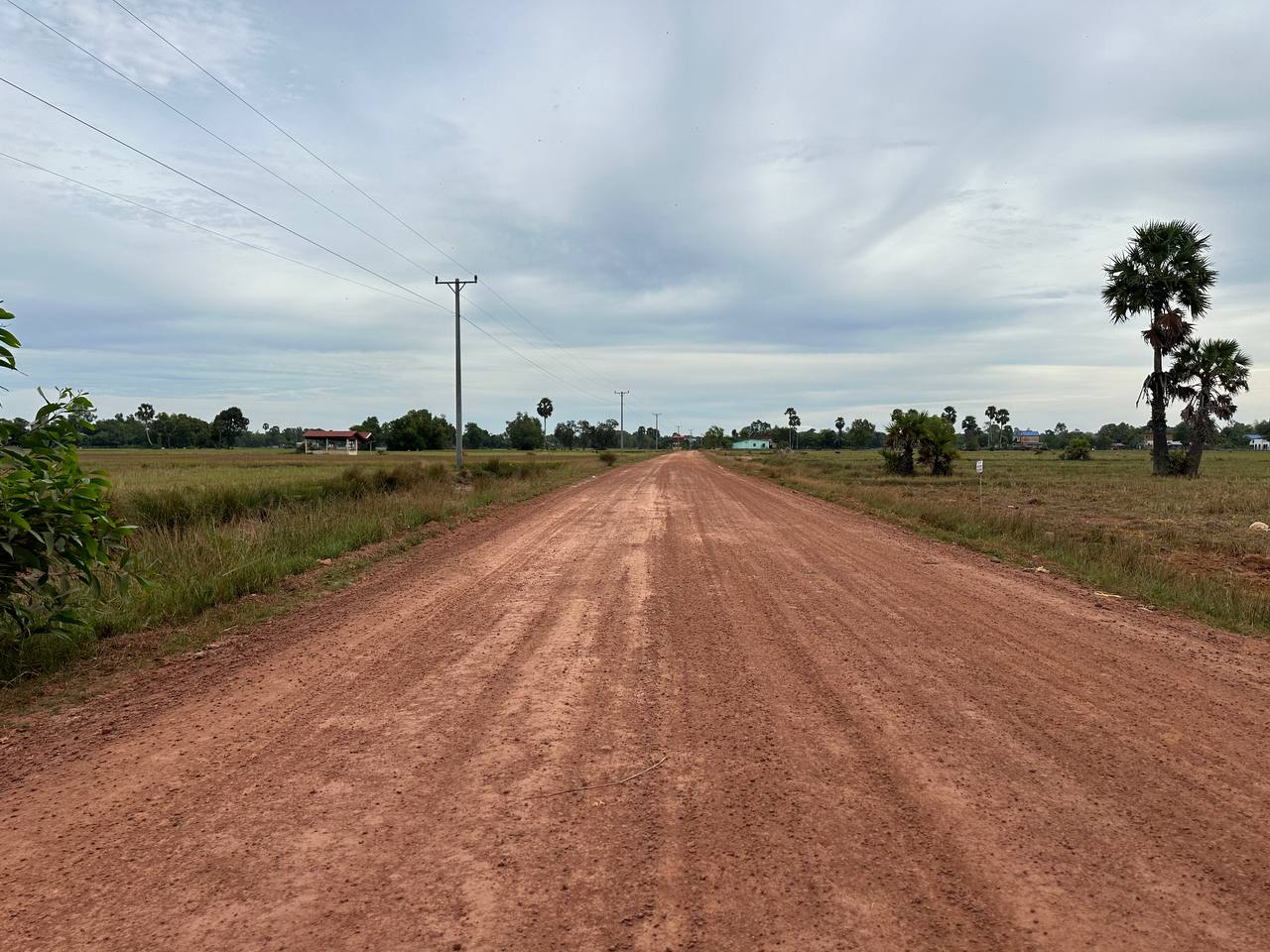 photo 2024 12 10 16 08 32 6