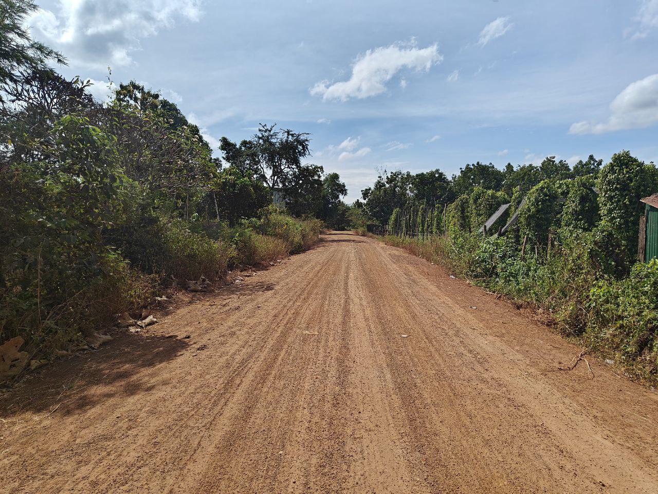 photo 2024 12 12 15 34 43 2