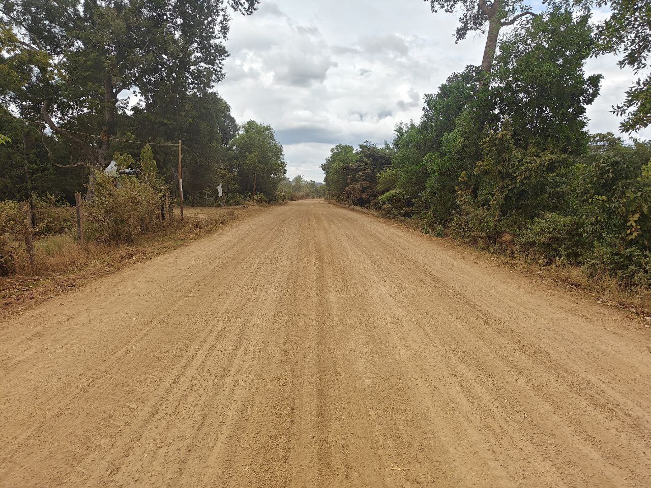 photo 2024 12 12 15 34 43