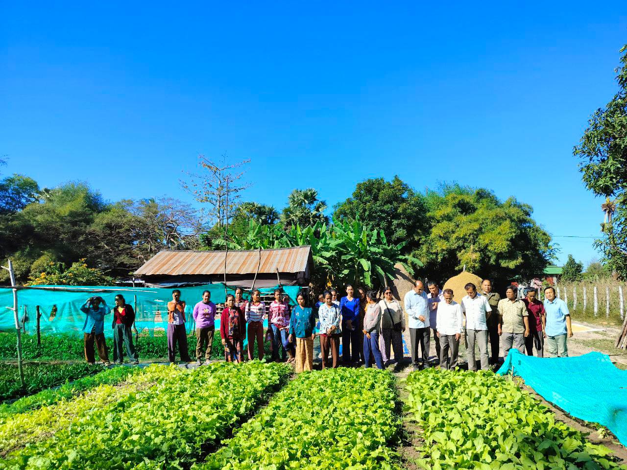 photo 2024 12 17 11 02 19