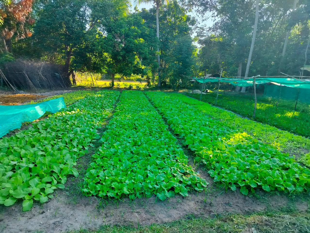 photo 2024 12 17 11 02 21