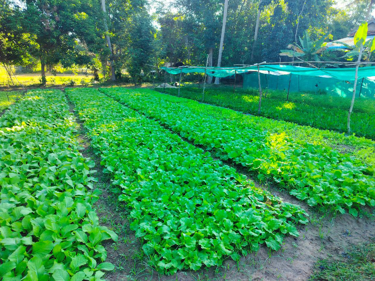 photo 2024 12 17 11 02 23