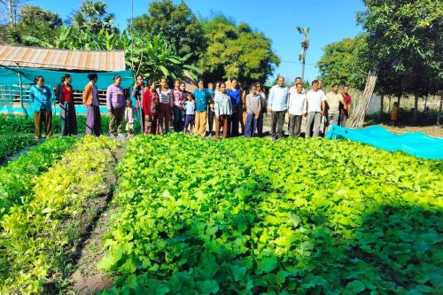 photo 2024 12 17 21 36 23