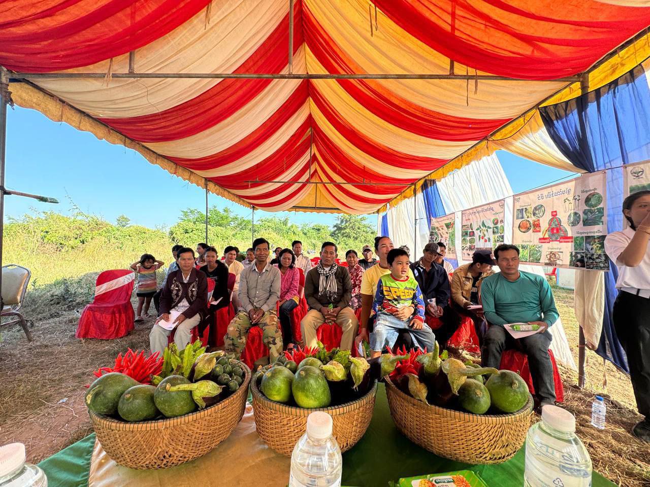 photo 2024 12 18 19 21 19 1