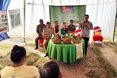 photo 2024 12 19 08 49 34