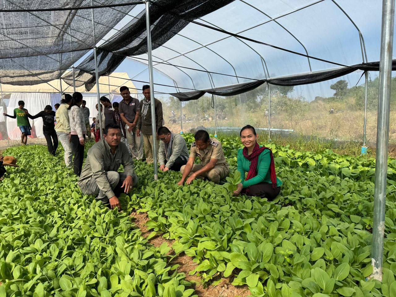 photo 2024 12 19 08 49 38