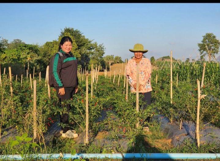 photo 2024 12 20 15 26 57