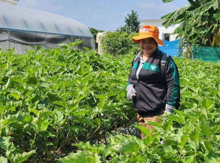 photo 2024 12 20 15 27 00