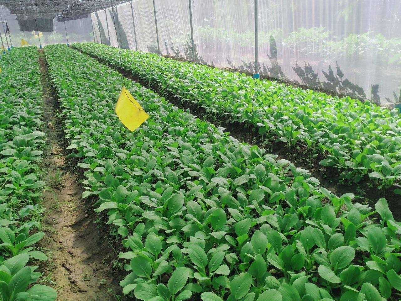 photo 2024 12 20 15 27 02