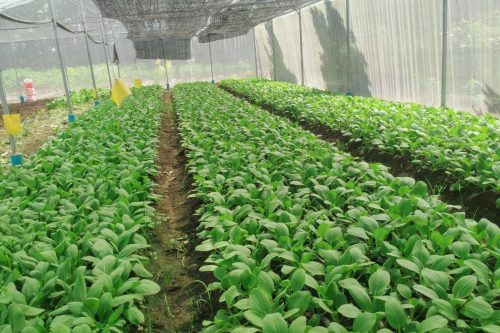 photo 2024 12 20 15 27 03