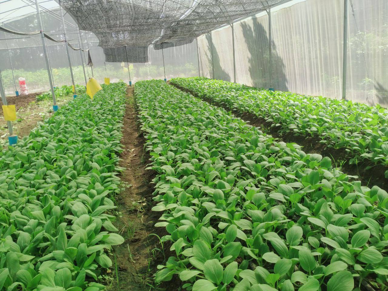 photo 2024 12 20 15 27 03