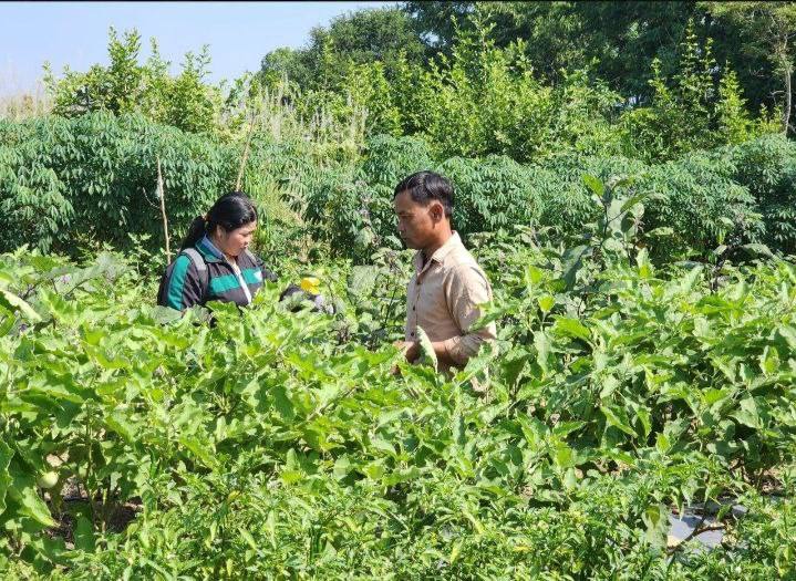 photo 2024 12 20 15 27 04