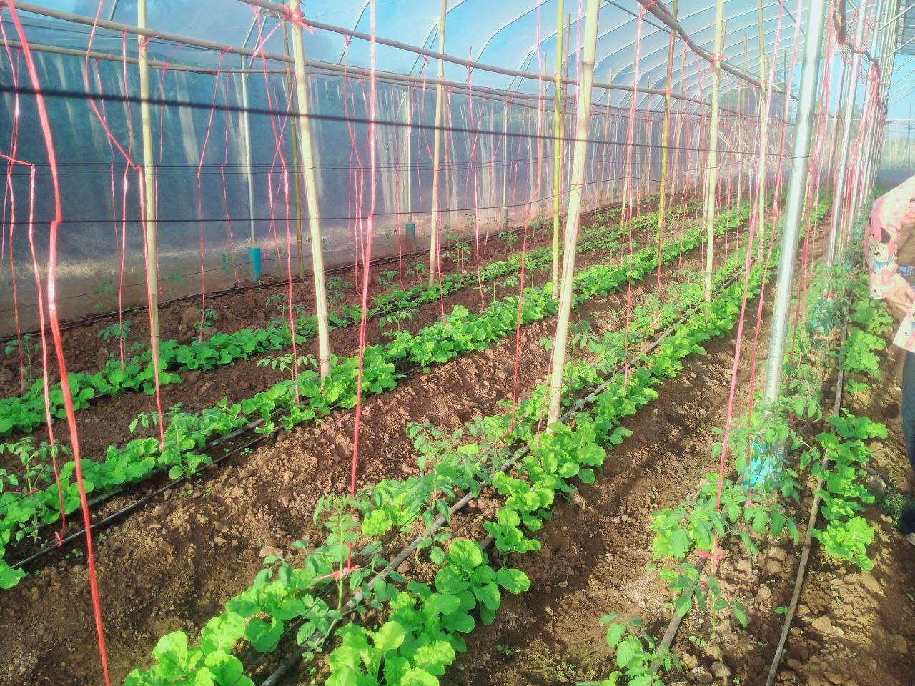 photo 2024 12 20 15 27 05