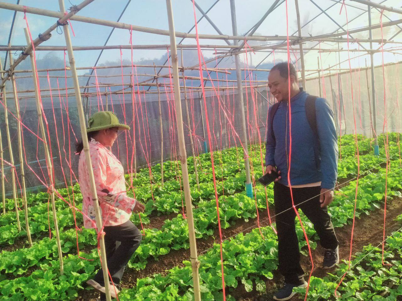 photo 2024 12 20 15 27 06