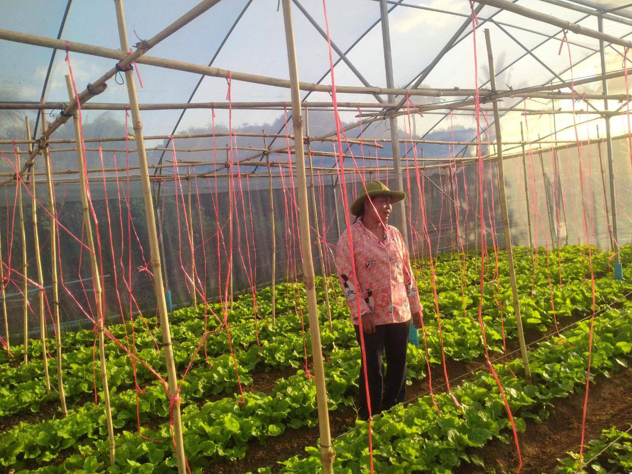 photo 2024 12 20 15 27 07