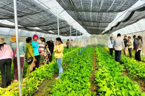 photo 2024 12 25 11 44 38