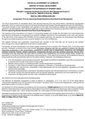 2. Final Draft REOI RRAM Firm STEP