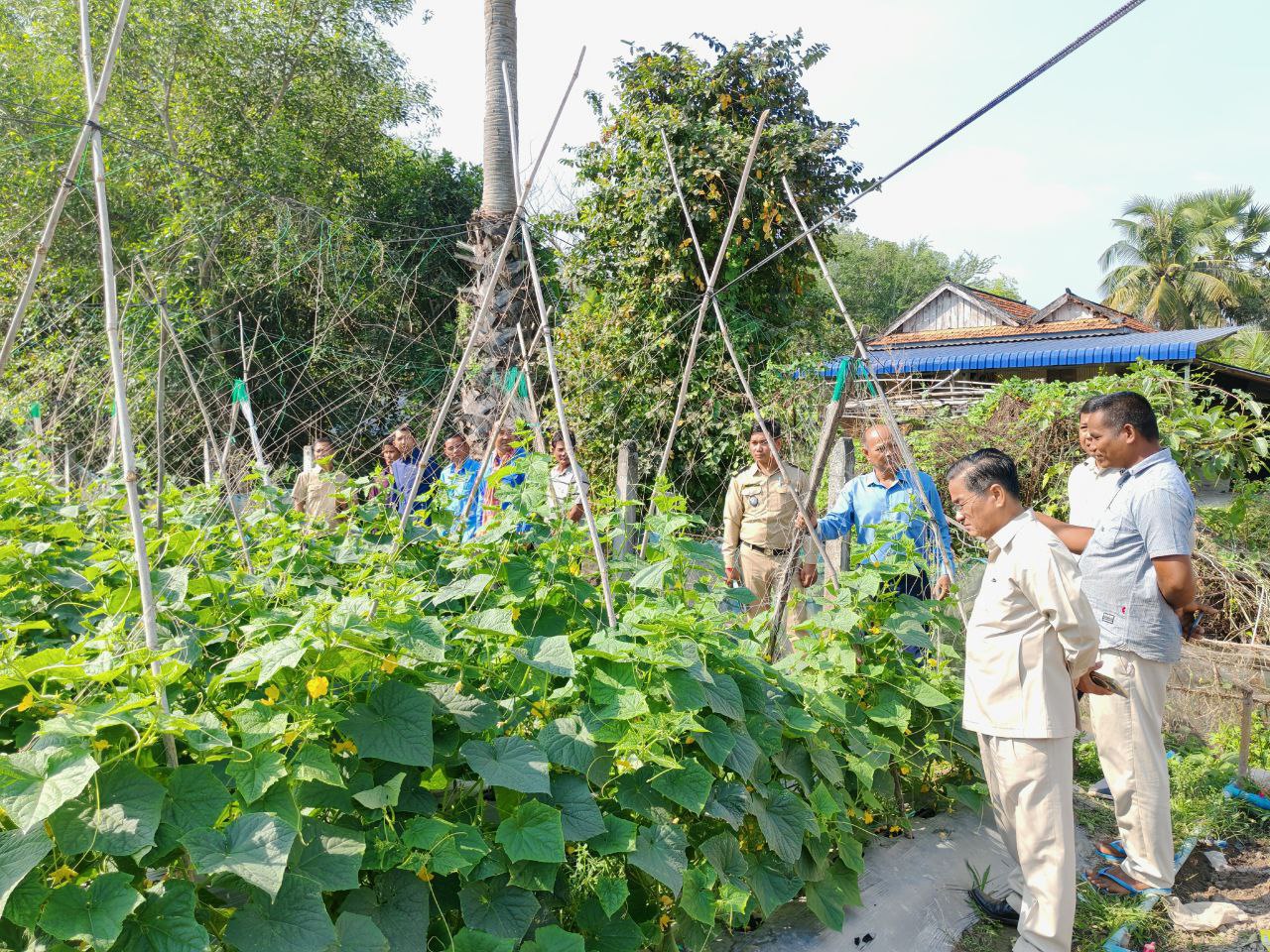 photo 2025 01 20 11 36 30 4