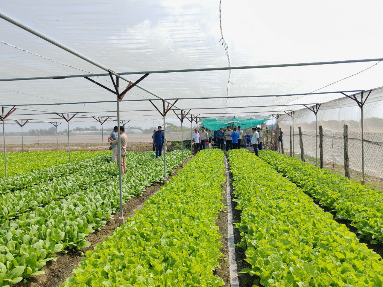 photo 2025 01 20 11 36 31 2