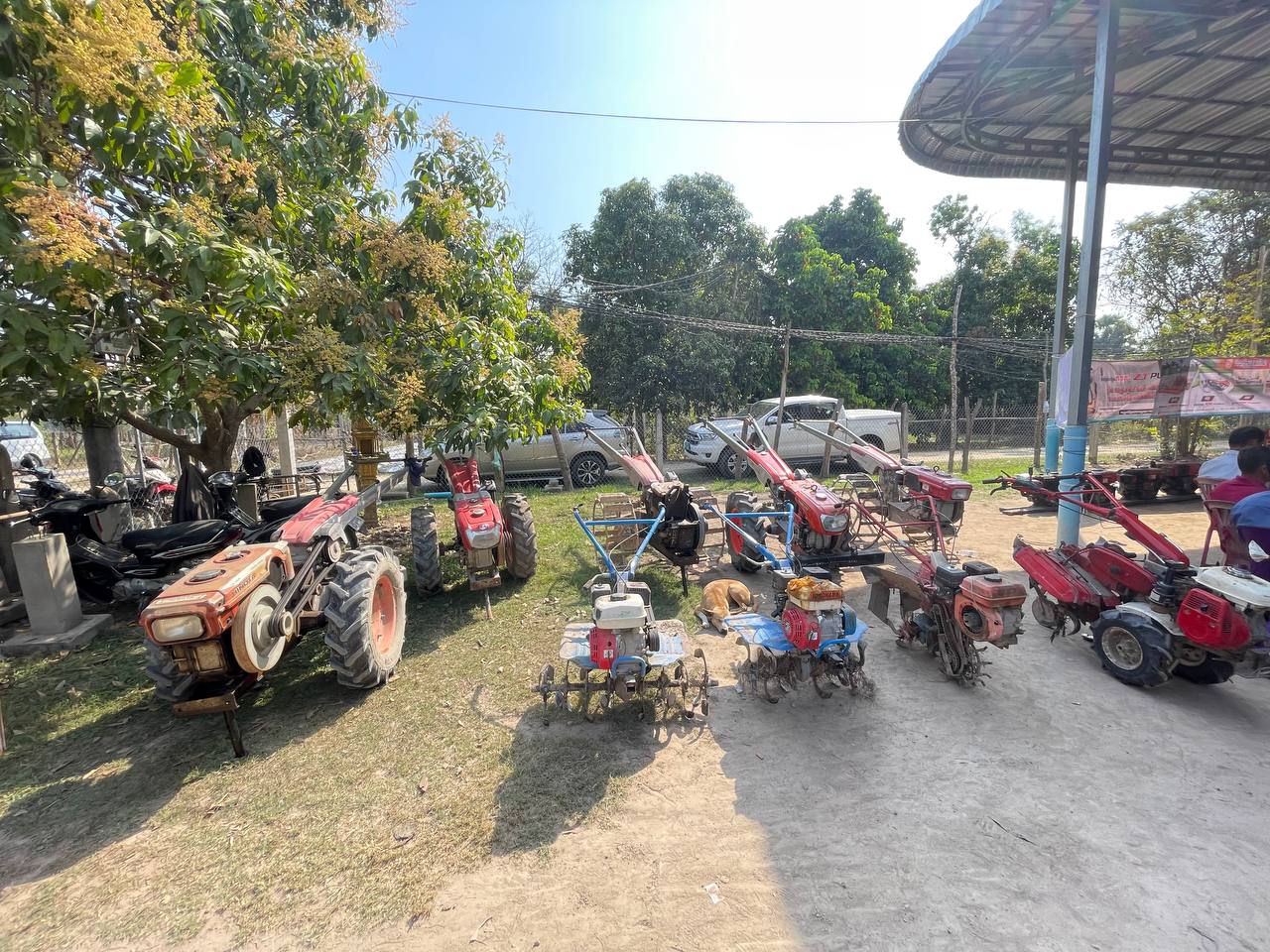 photo 2025 01 20 11 36 33 4