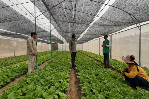 photo 2025 01 24 19 21 49