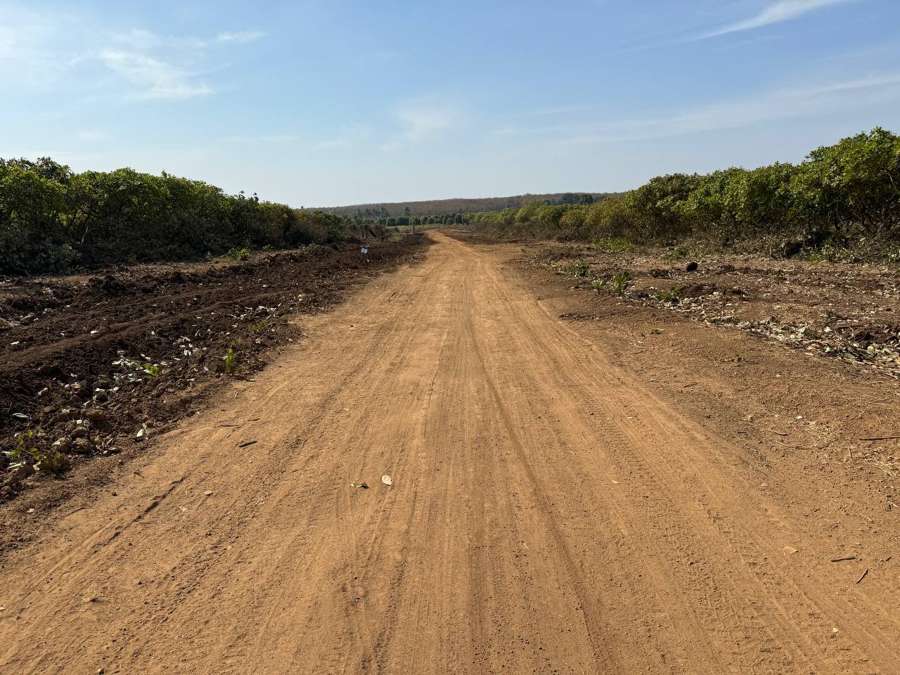 photo 2025 01 31 10 44 30