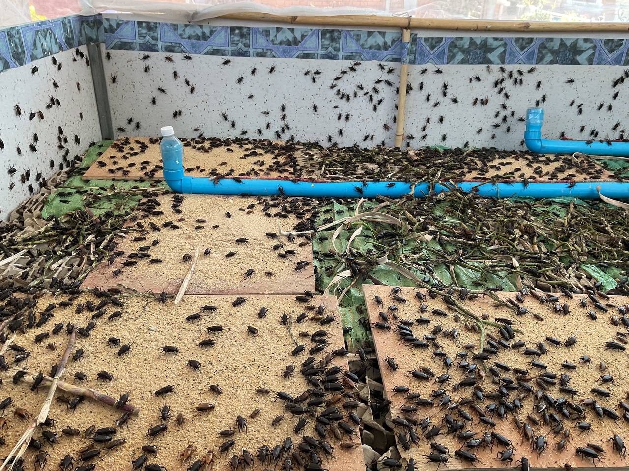 photo 2025 02 06 07 58 28 3