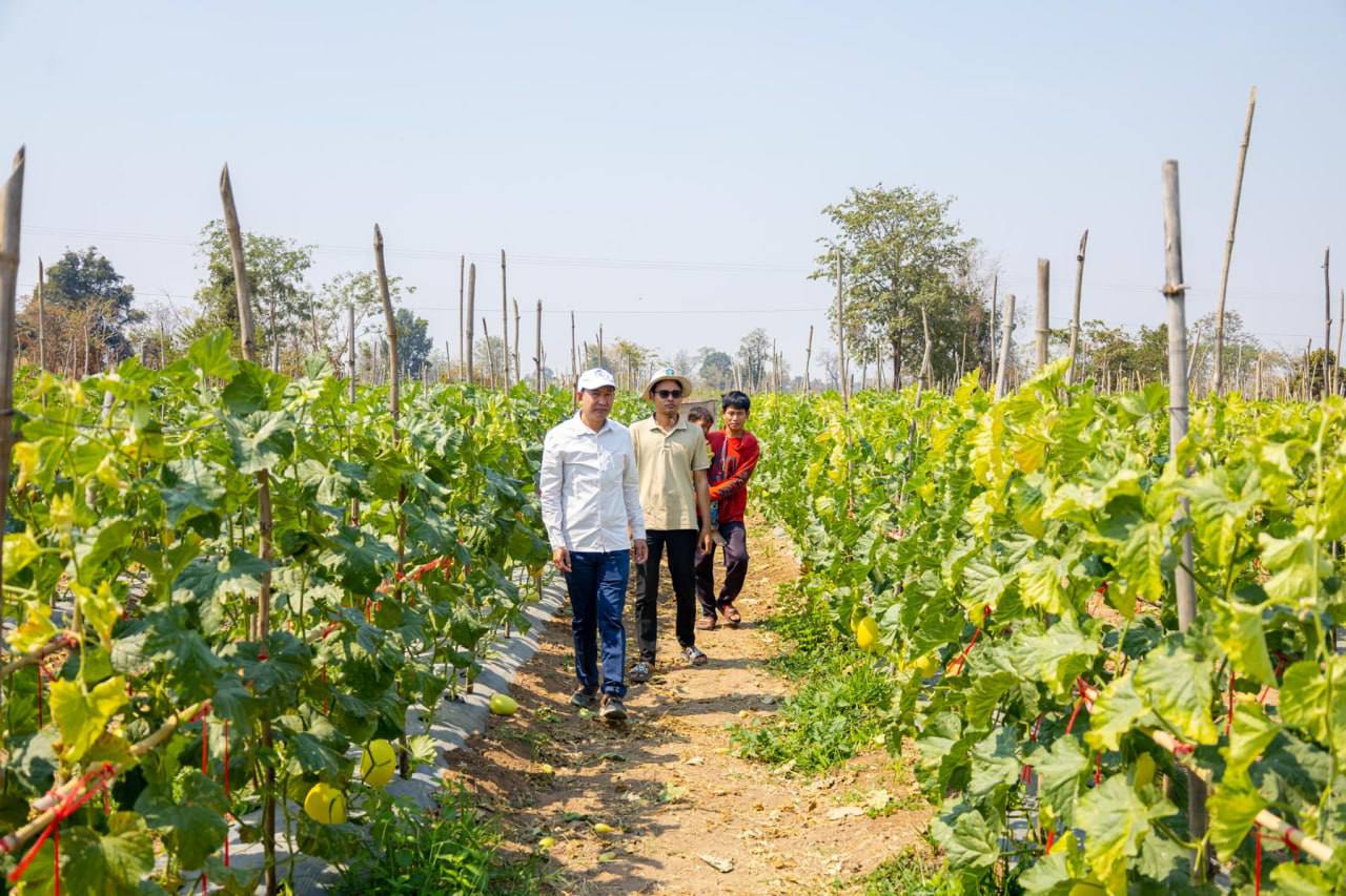 photo 2025 02 11 19 52 55