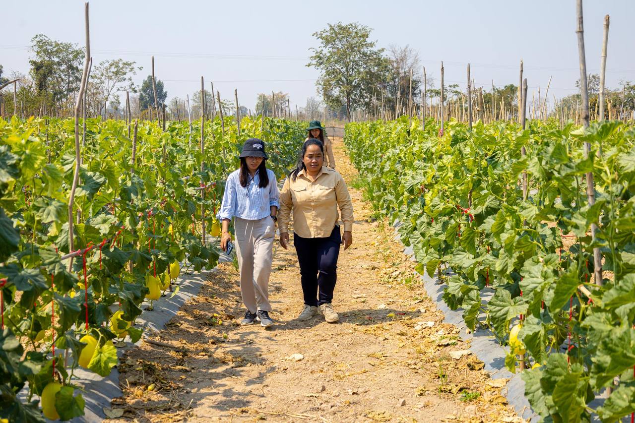 photo 2025 02 11 19 52 56