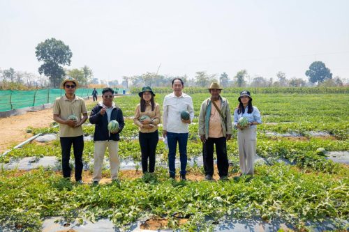 photo 2025 02 11 19 52 57