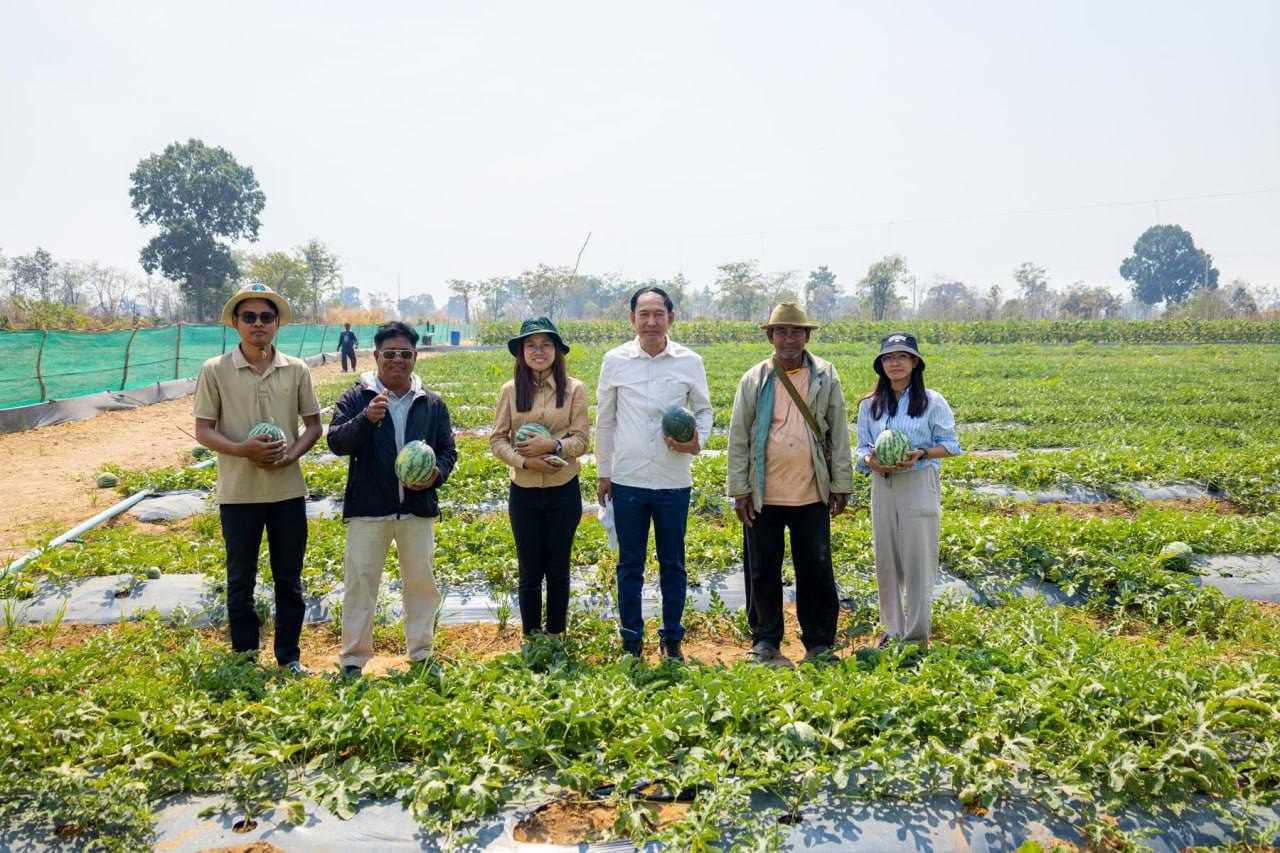 photo 2025 02 11 19 52 57