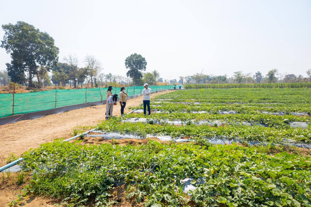 photo 2025 02 11 19 52 59