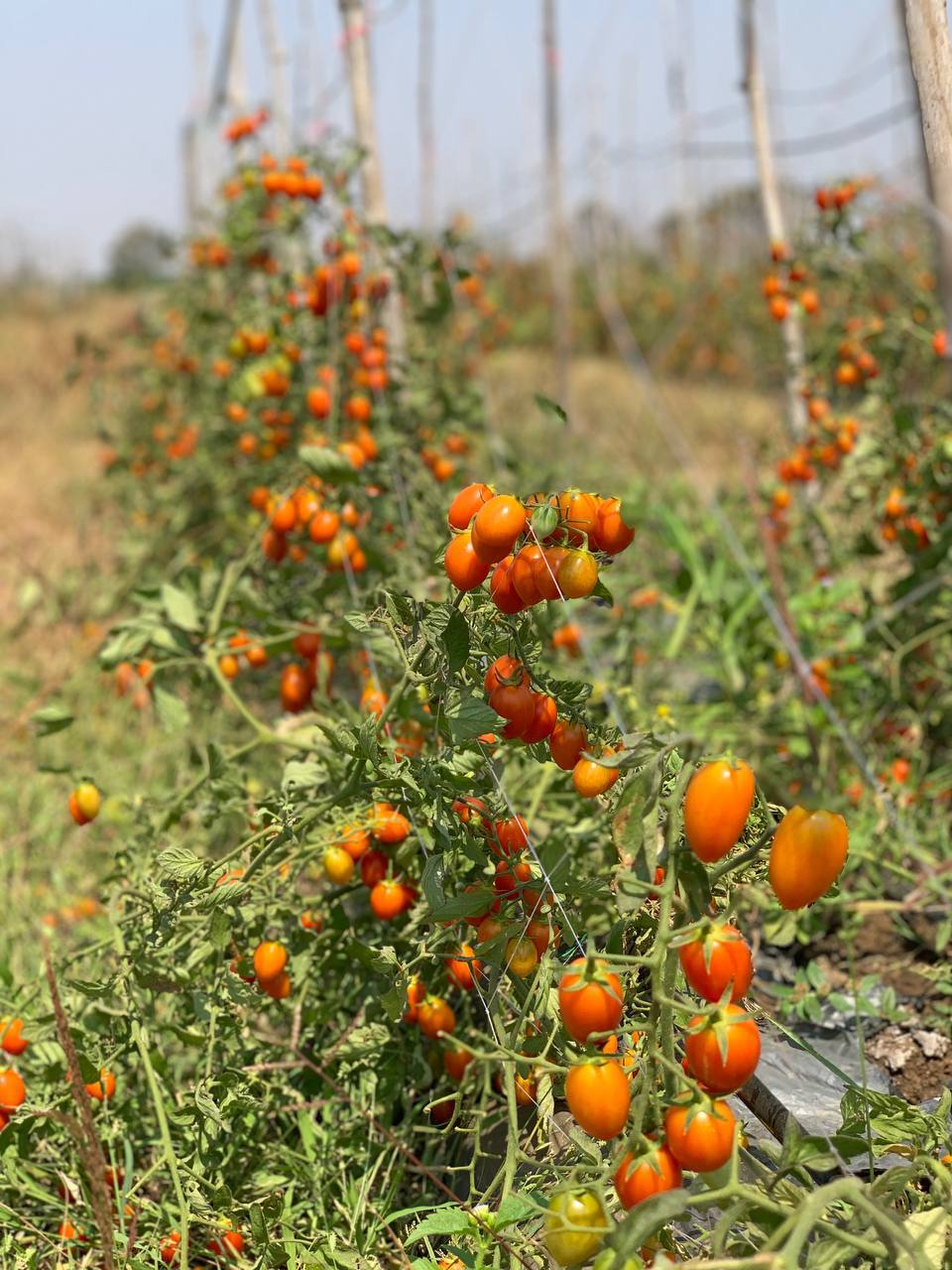 photo 2025 02 11 19 53 01