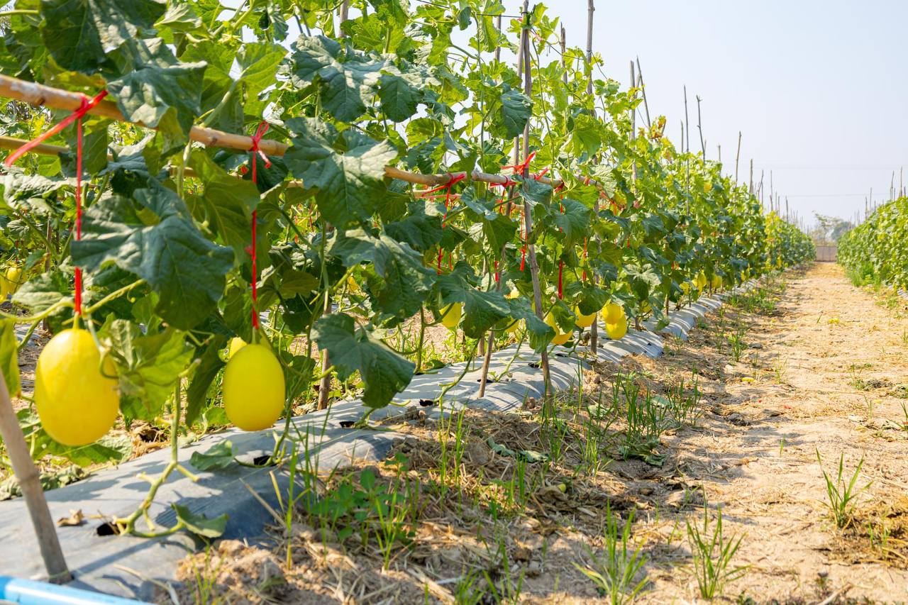 photo 2025 02 11 19 53 03