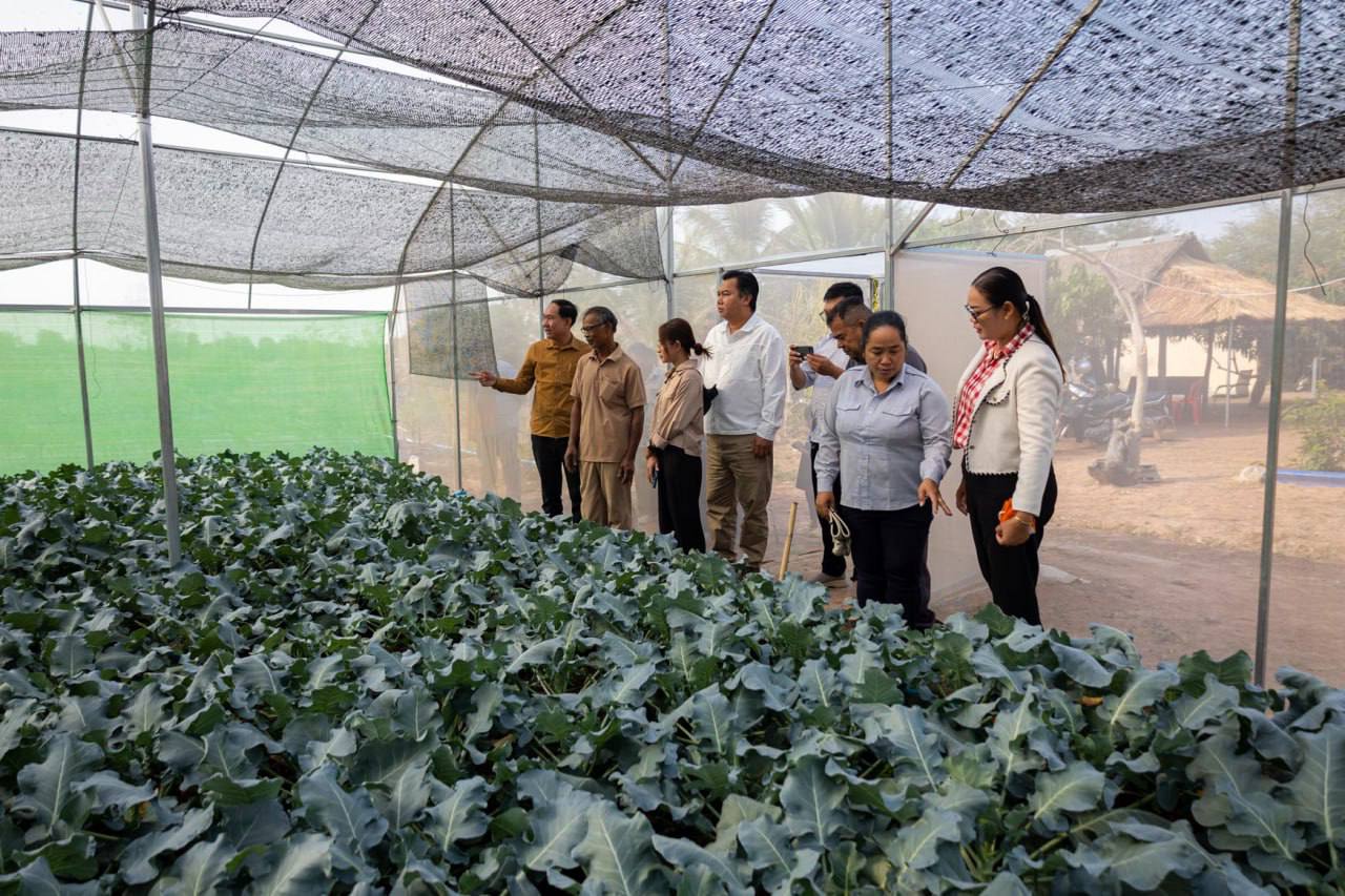 photo 2025 02 11 20 10 02