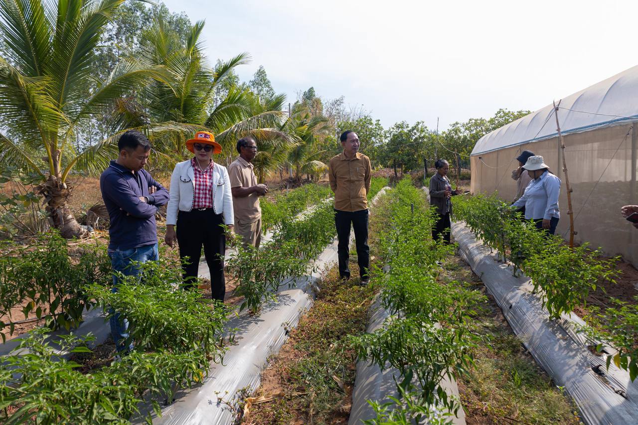 photo 2025 02 11 20 10 04