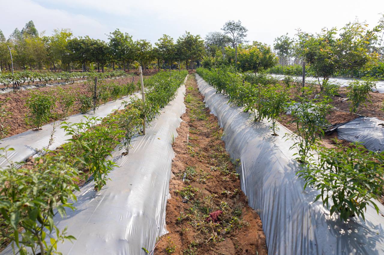 photo 2025 02 11 20 10 09