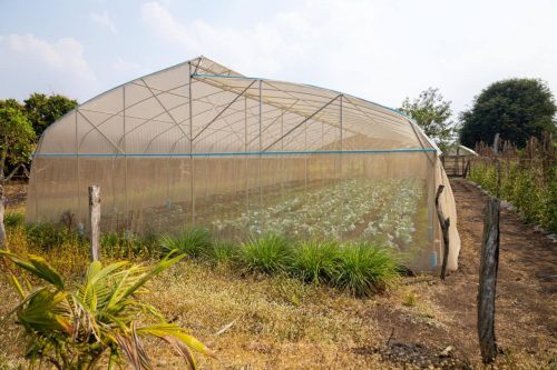 photo 2025 02 14 08 02 36