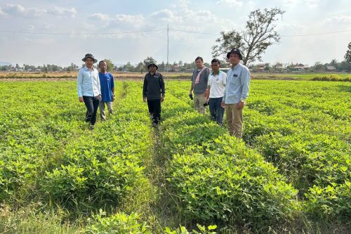 photo 2025 02 17 19 00 17 2