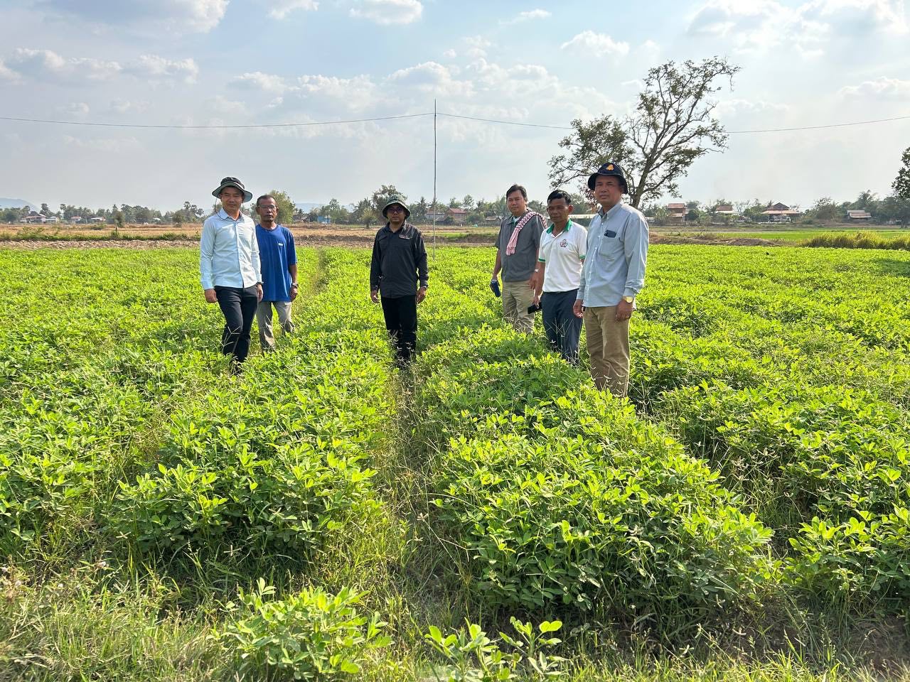 photo 2025 02 17 19 00 17 2