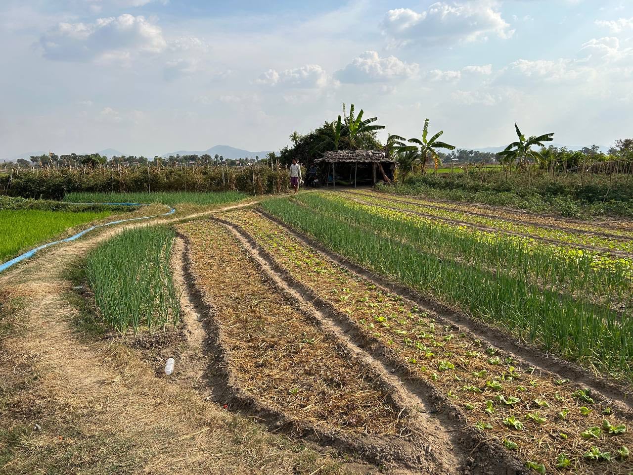 photo 2025 02 17 19 00 17 3