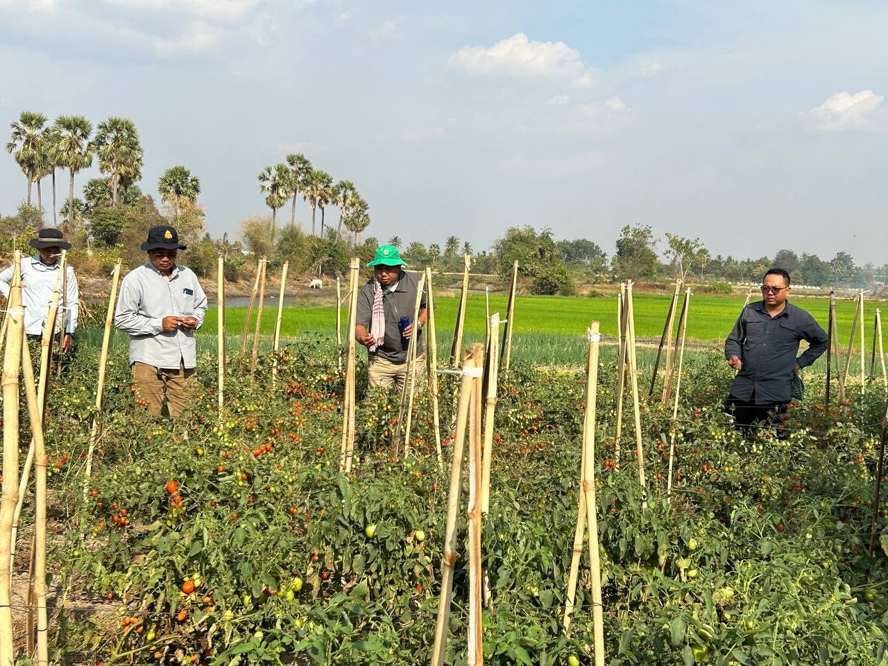 photo 2025 02 17 19 00 17 4