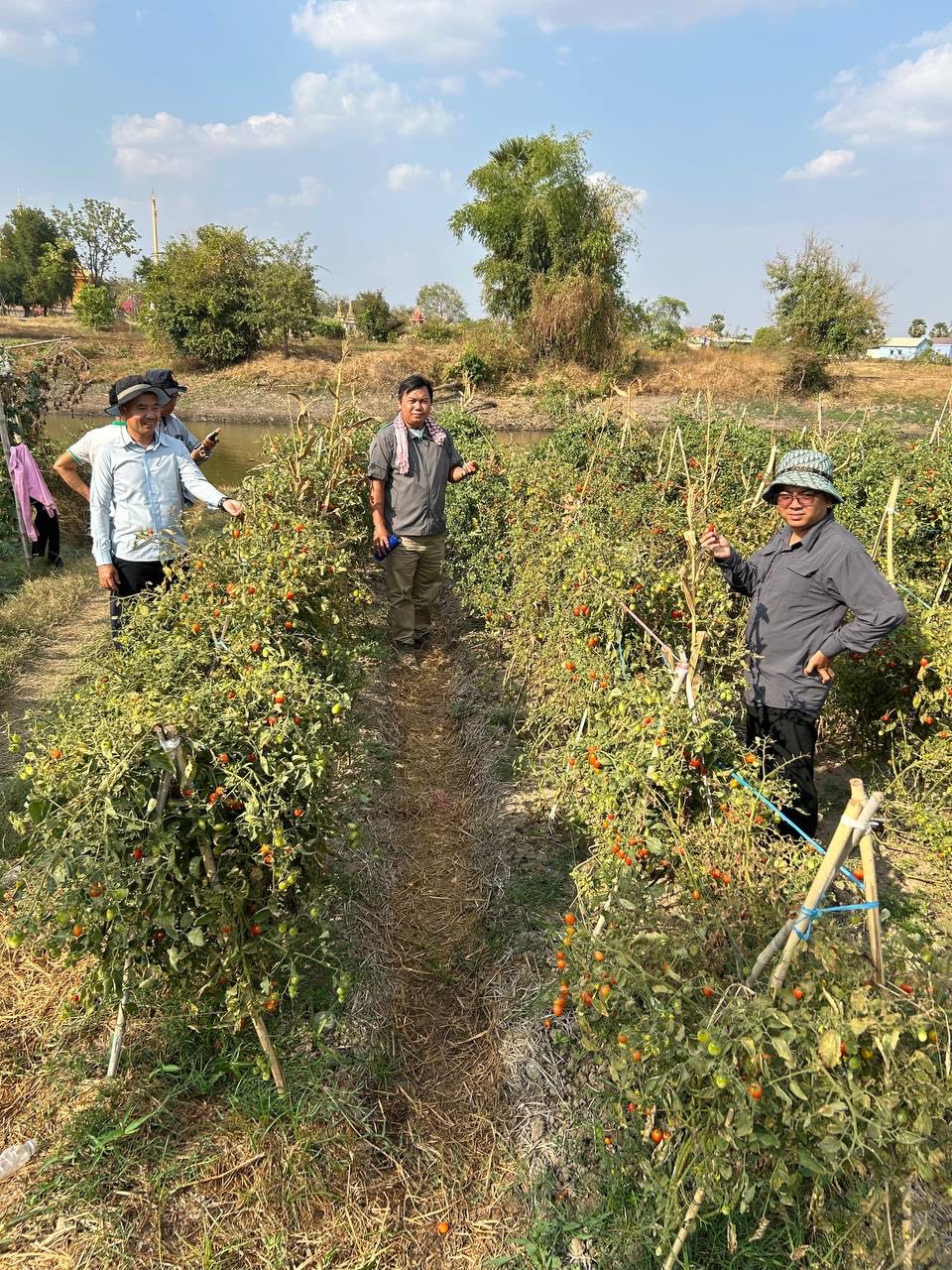 photo 2025 02 17 19 00 18 2