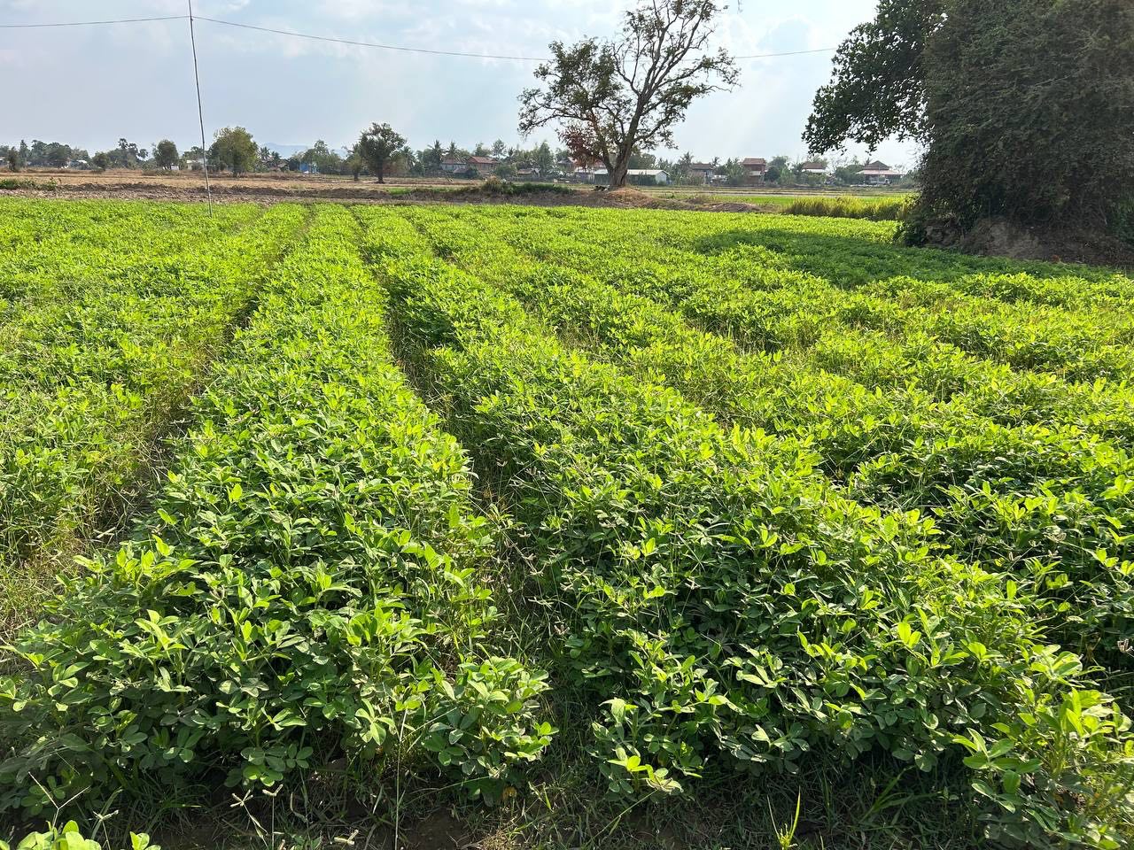 photo 2025 02 17 19 00 18