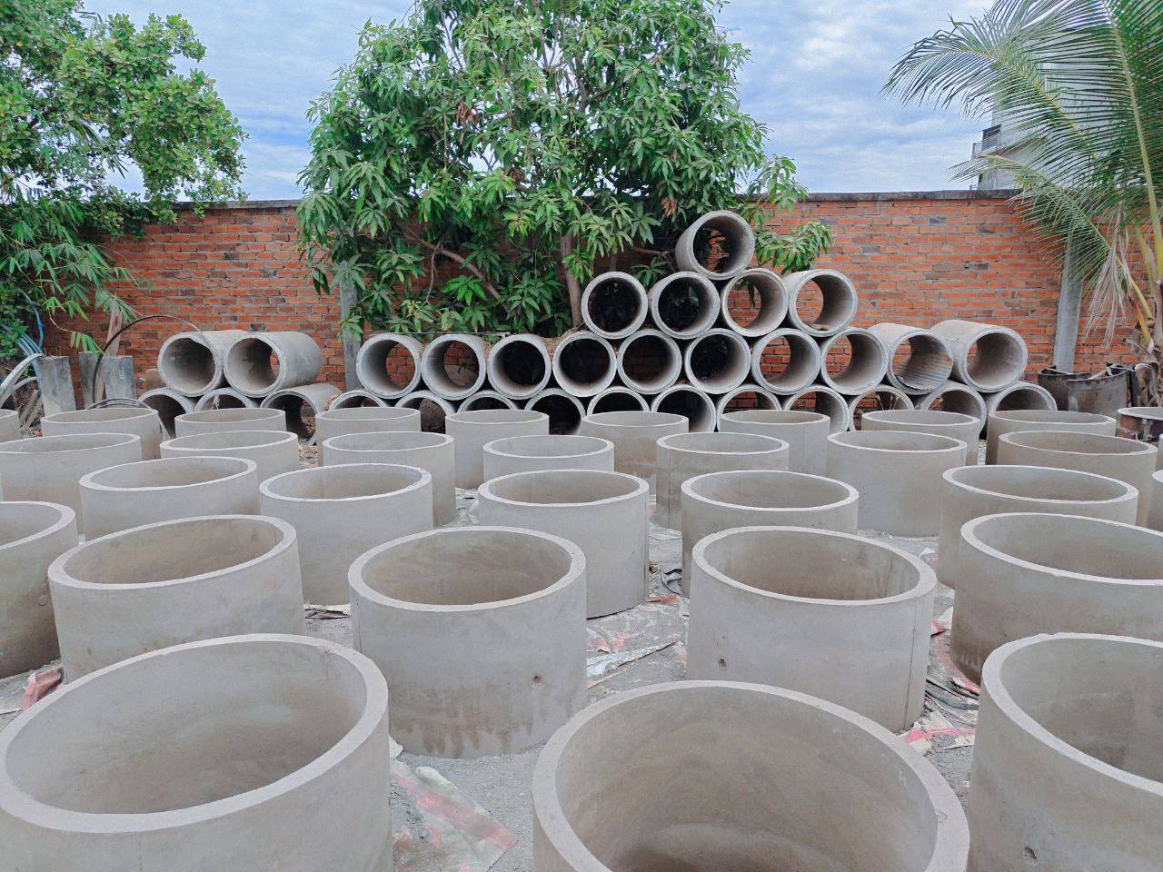 photo 2025 02 26 16 57 03