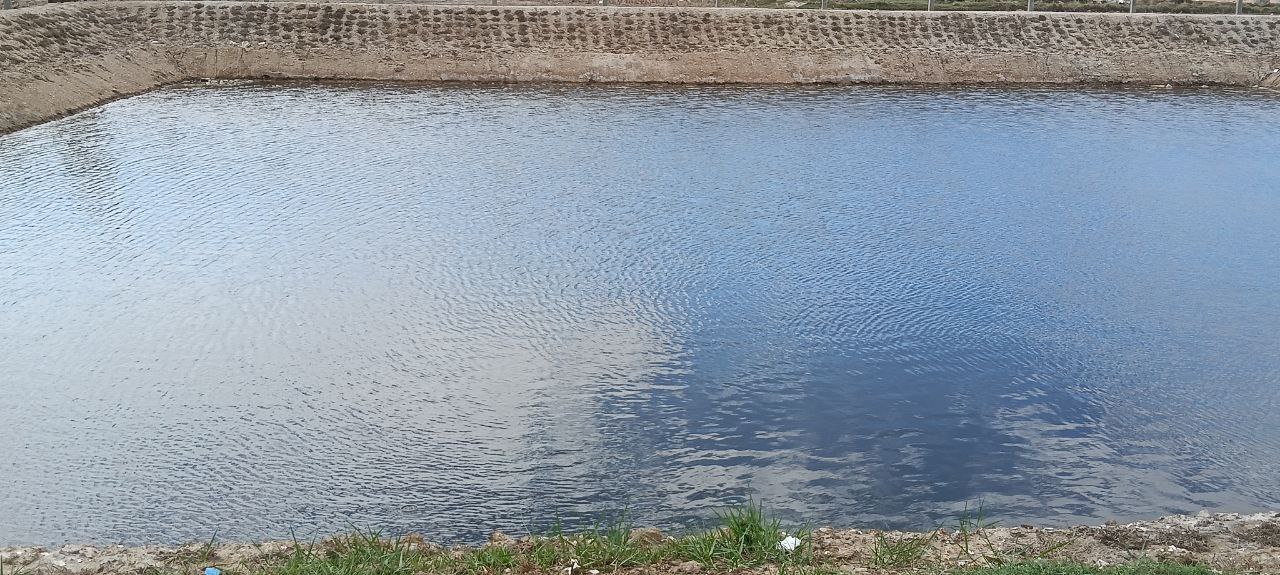 photo 2025 02 26 19 39 36 2