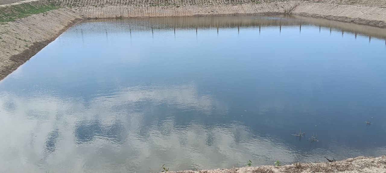 photo 2025 02 26 19 39 38