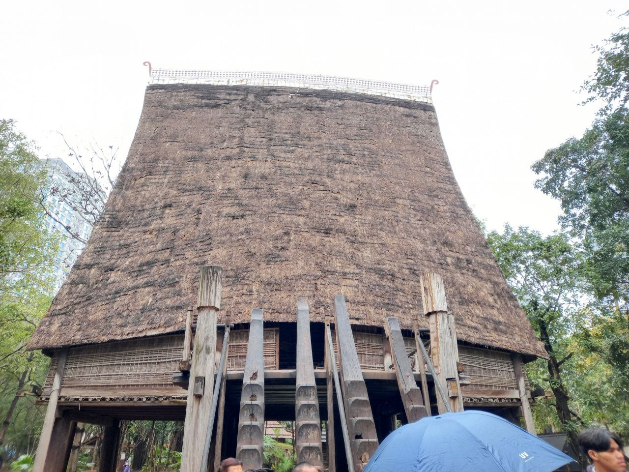 photo 2025 03 01 07 10 53 7