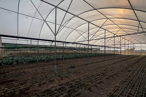 photo 2025 03 05 20 39 56