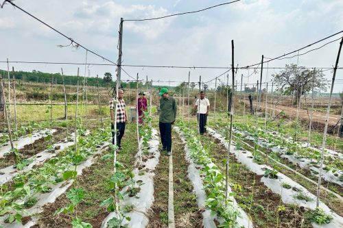 photo 2025 03 07 10 35 55